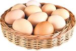 корзина с яйцами
