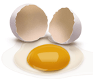 разбитое яйцо, белок, желток, скорлупа